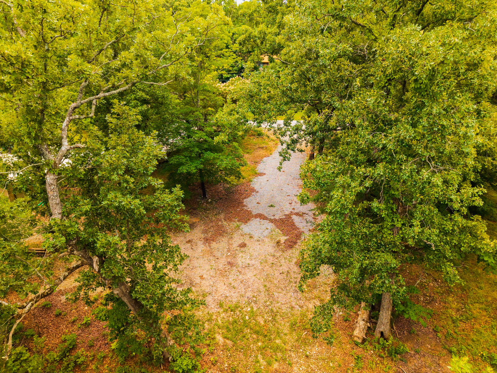 Forest Shores homesite on Bull Shoals Lake, photo 2