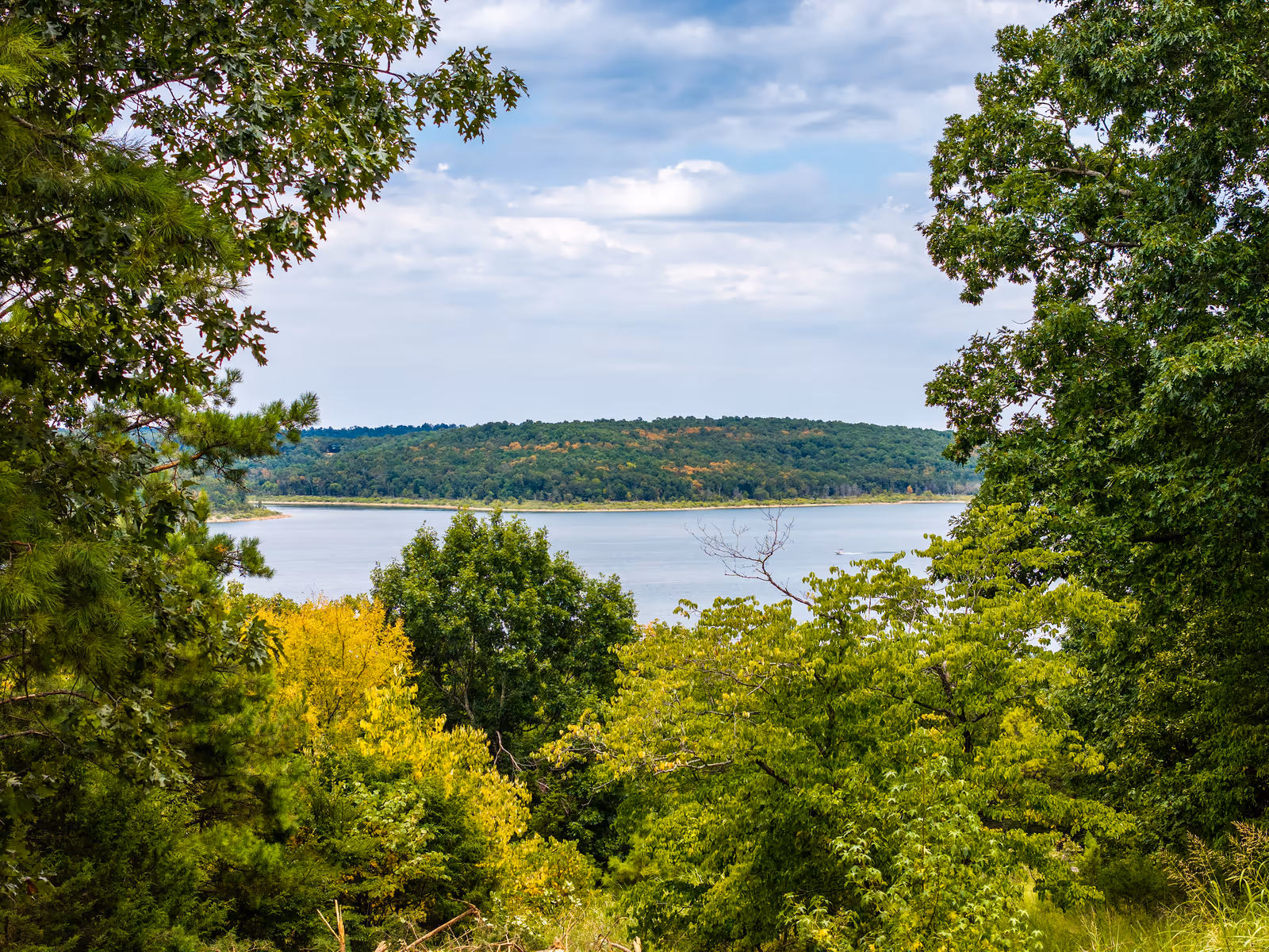 Sandy Shores homesite on Norfork Lake, photo 9